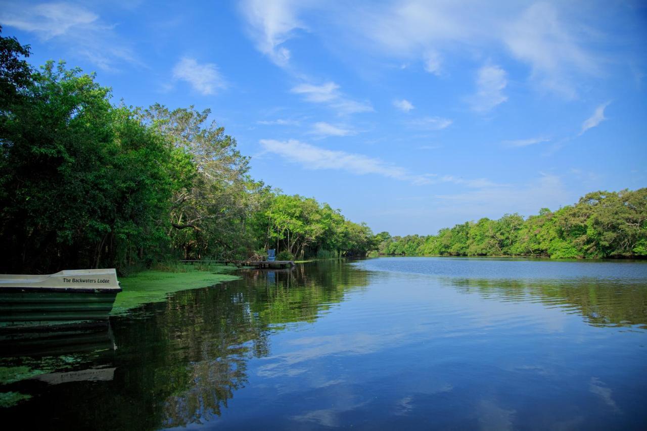 The Backwaters Lodge Wilpattu Exteriér fotografie