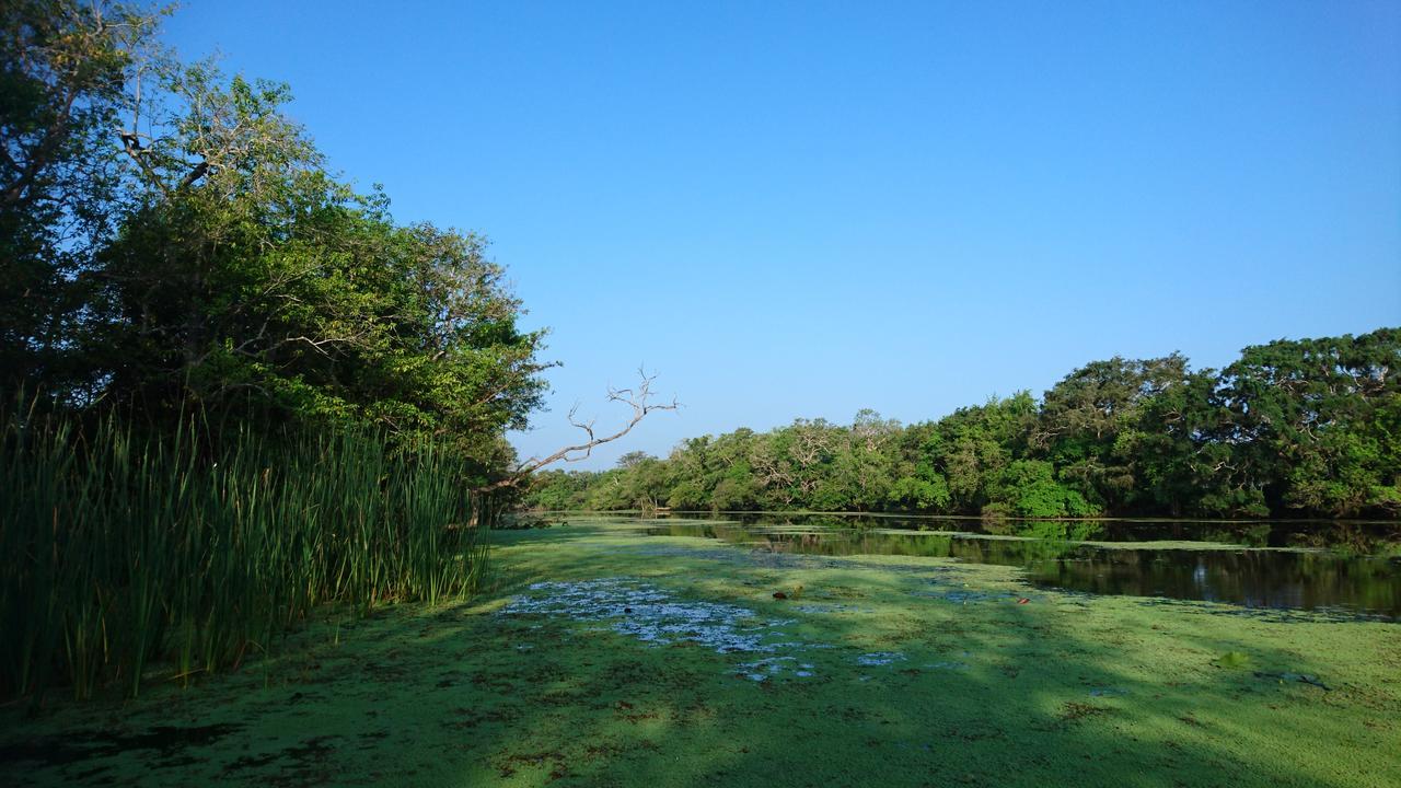 The Backwaters Lodge Wilpattu Exteriér fotografie