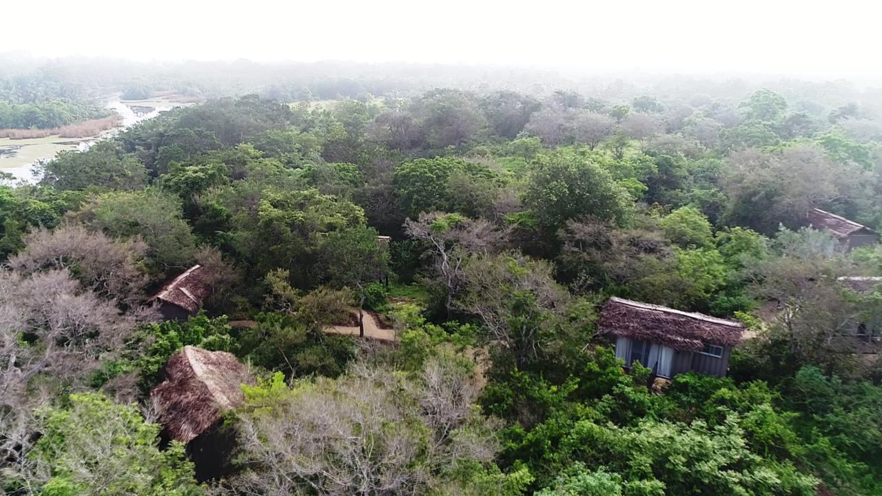 The Backwaters Lodge Wilpattu Exteriér fotografie