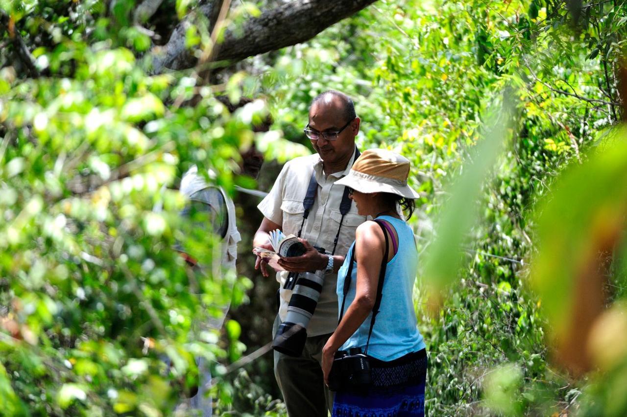 The Backwaters Lodge Wilpattu Exteriér fotografie