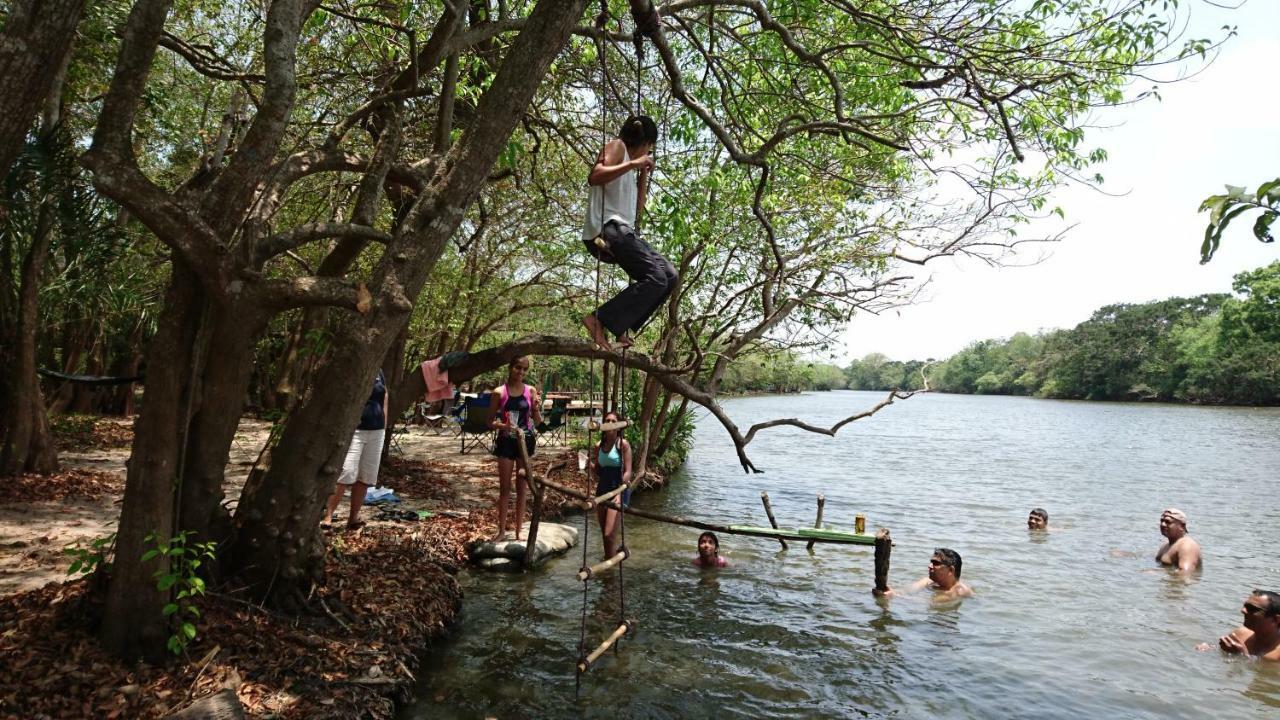 The Backwaters Lodge Wilpattu Exteriér fotografie